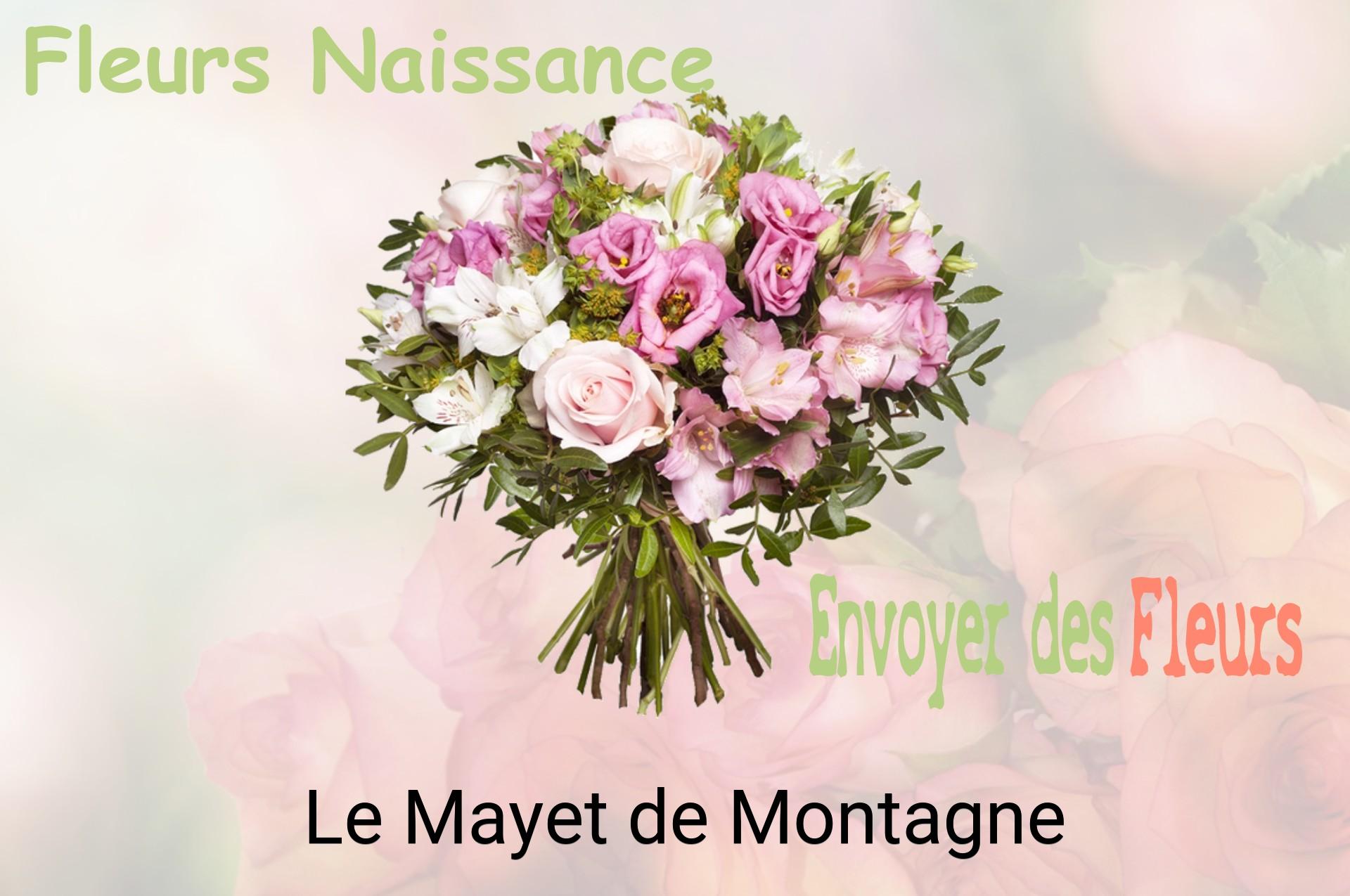 Bouquet de fleurs de naissance livré à Le Mayet-de-Montagne