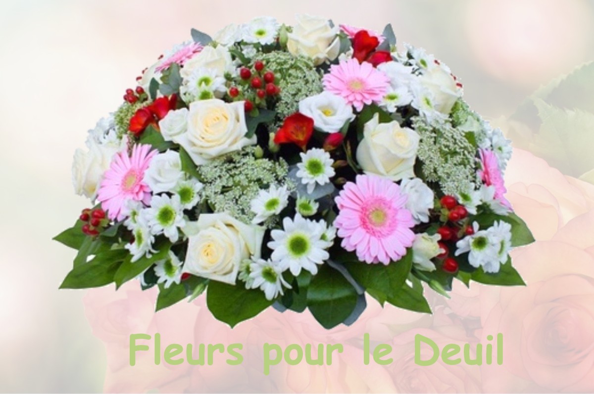 fleurs deuil LE-MAYET-DE-MONTAGNE